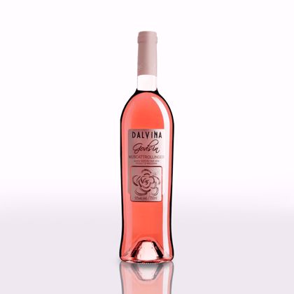 Dalvina Godsin Muscattrollinger Rosé